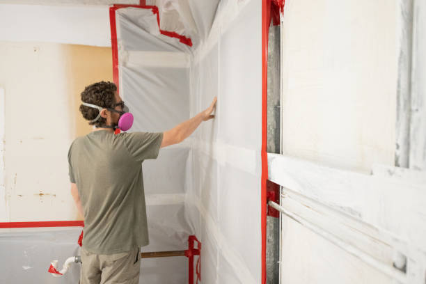 Trusted Cleora, OK Mold Removal Experts